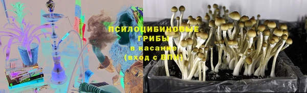 2c-b Балахна