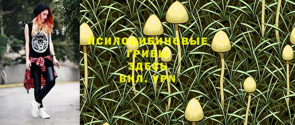 дживик Балабаново