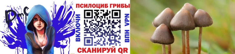 Галлюциногенные грибы прущие грибы  магазин    Кувандык 